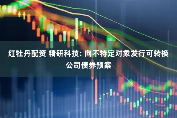 红牡丹配资 精研科技: 向不特定对象发行可转换公司债券预案