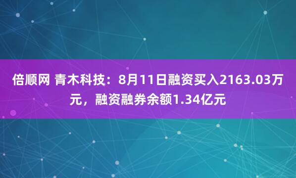 倍顺网 青木科技：8月11日融资买入2163.03万元，融资融券余额1.34亿元